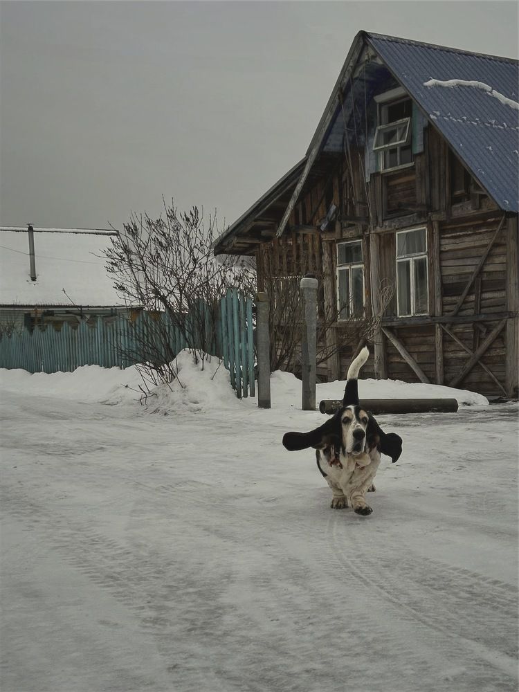 Photograph by Yulia Kotova