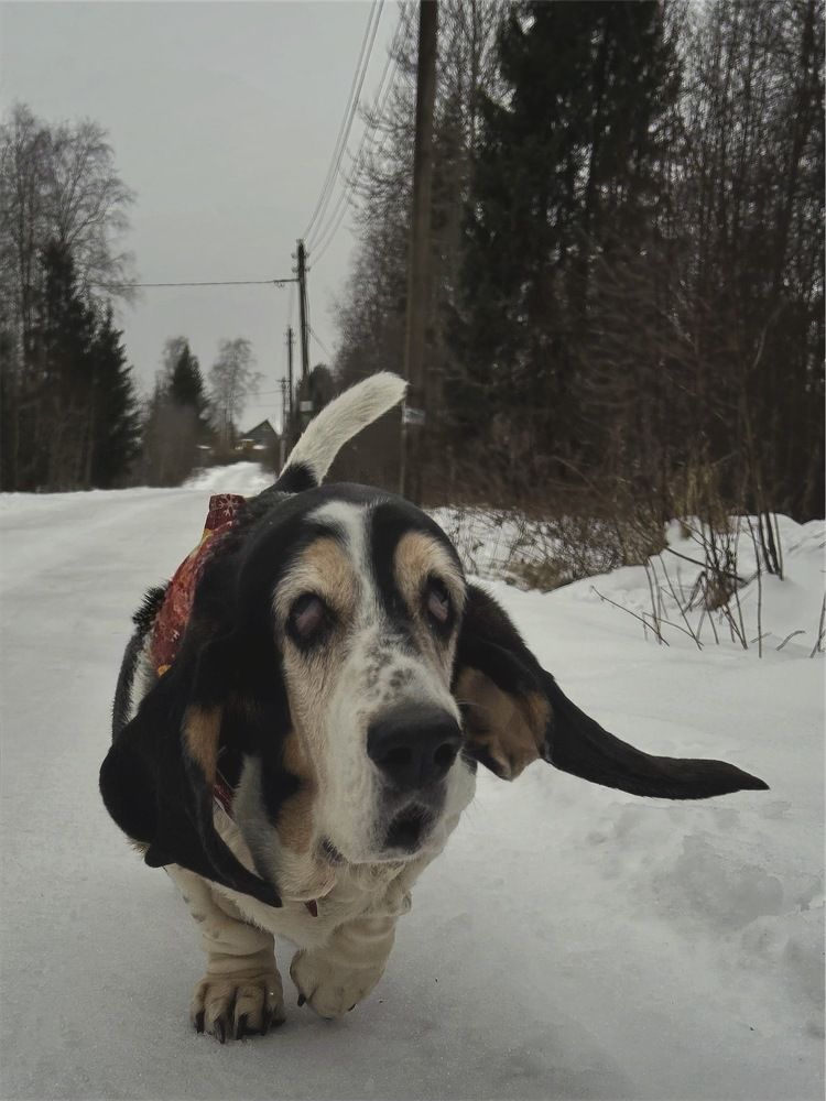 Photograph by Yulia Kotova