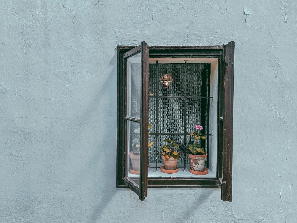 Photograph by Kamil Valach