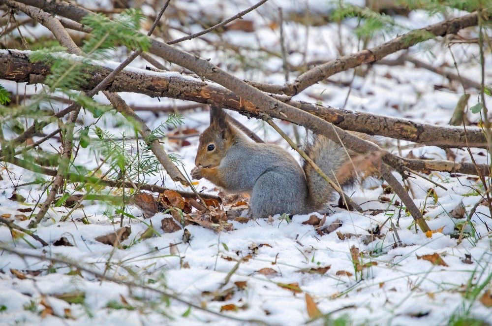 Photograph by Любовь Бусова