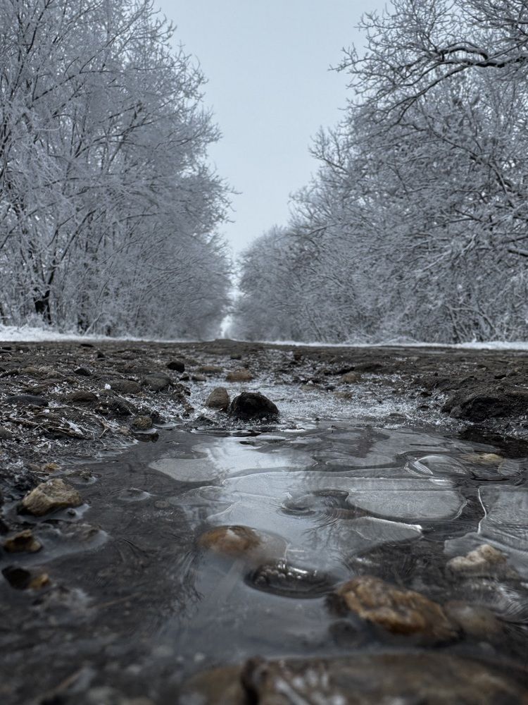 Photograph by Бойкова Наталия