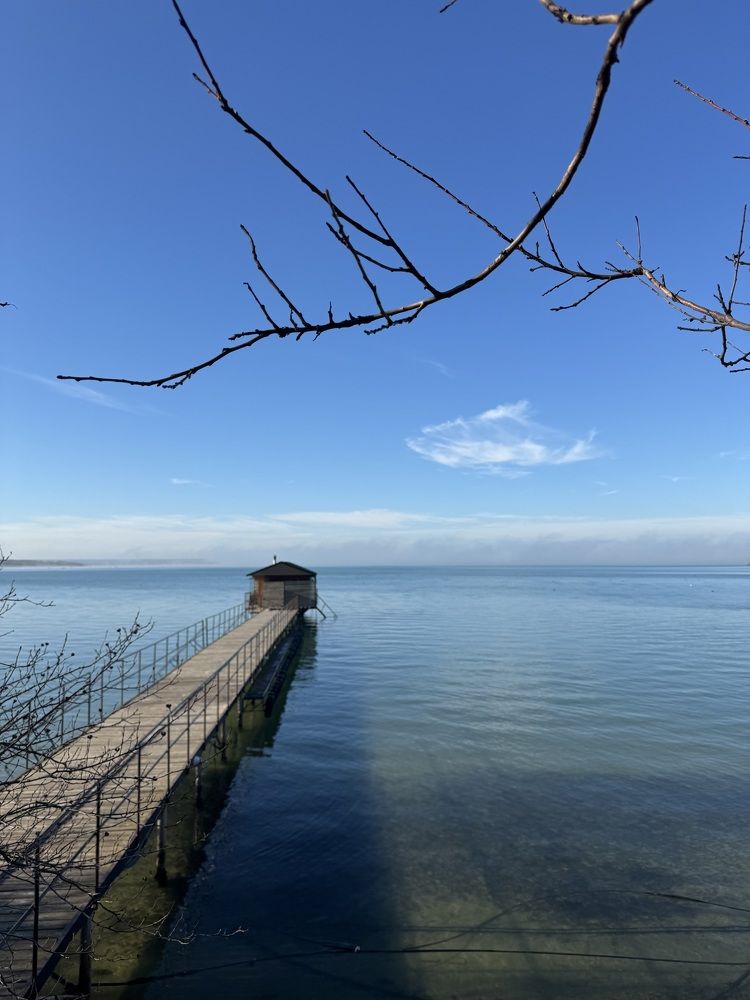 Рыба в воде и рыбка в небе