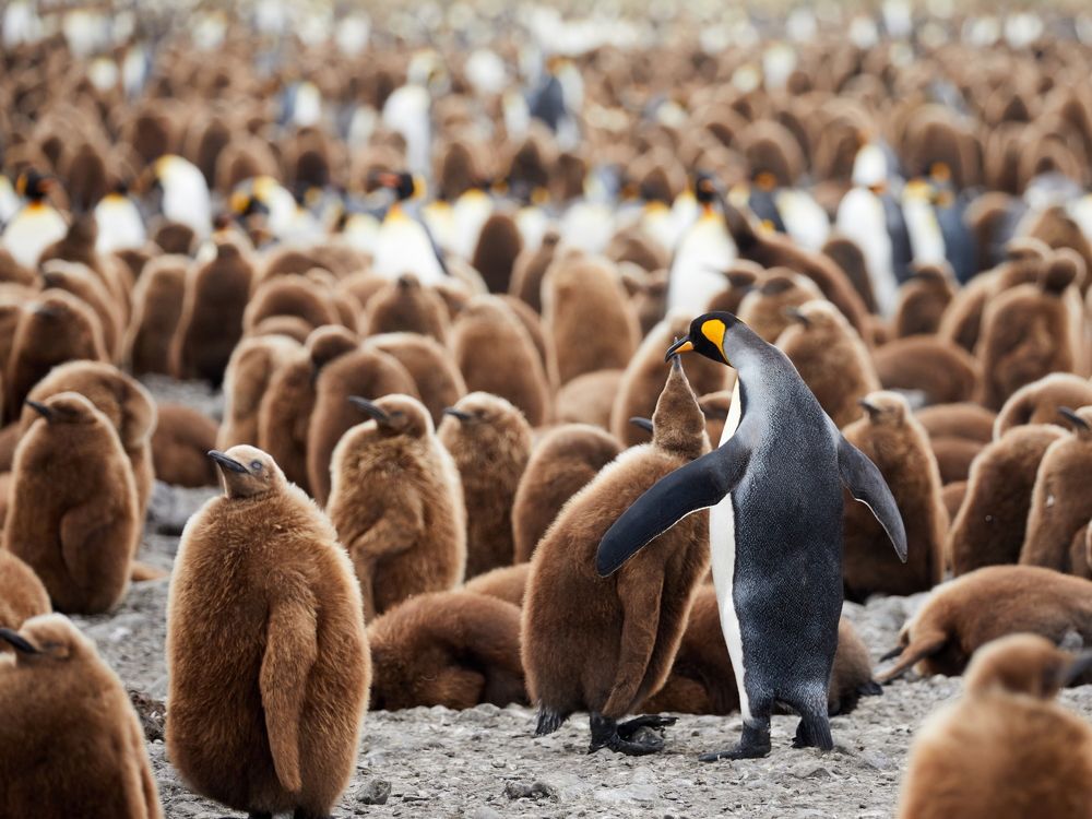 Photograph by Boris Konovalov