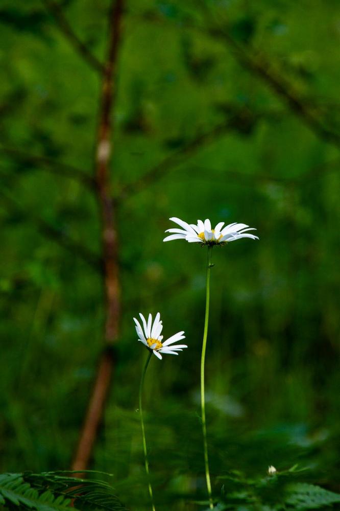 Photograph by Назмутдинова Сауия