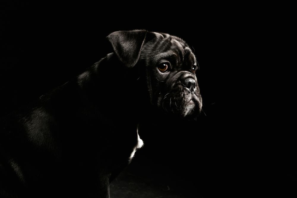 Фотография автора Linda Celis