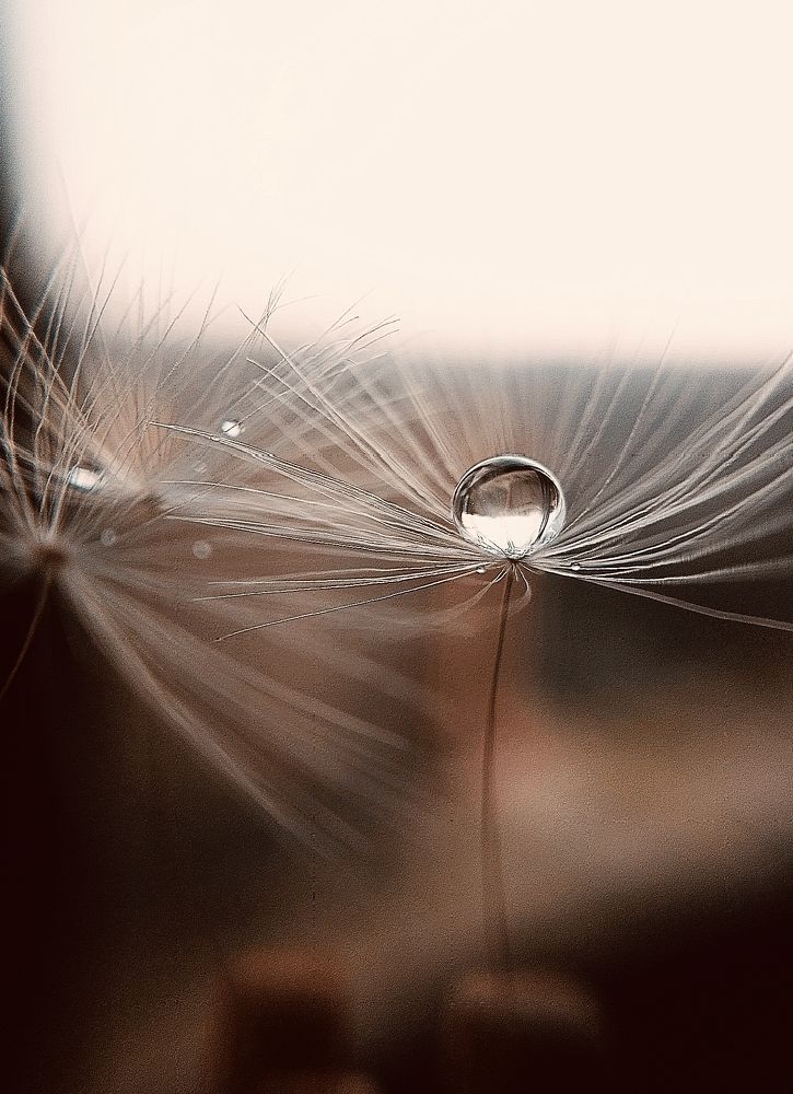 Photograph by Наталья Шумилова