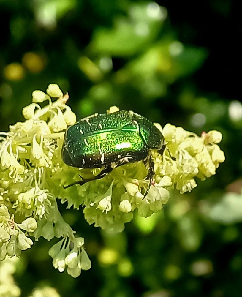 Photograph by Назмутдинова Сауия