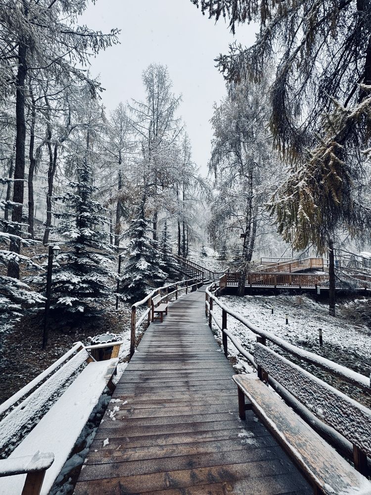 Фотография автора Алексей