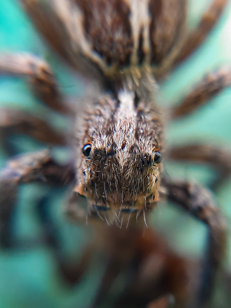 Фотография автора Arpan Adhikary