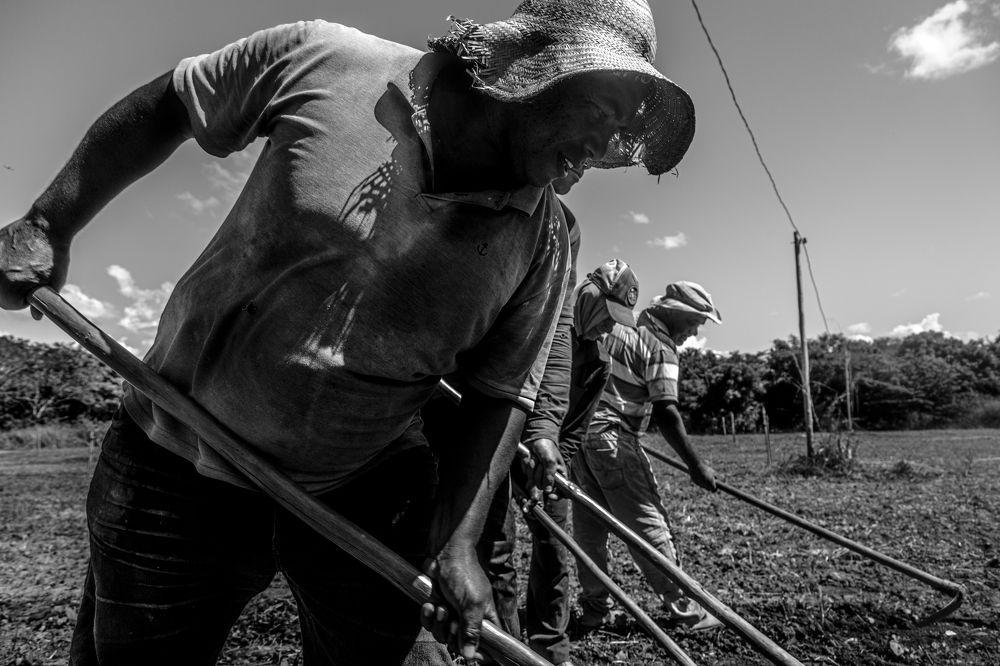 Photograph by FLAVIO SOUZA CRUZ