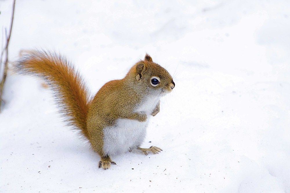 Photograph by ALI Pashang