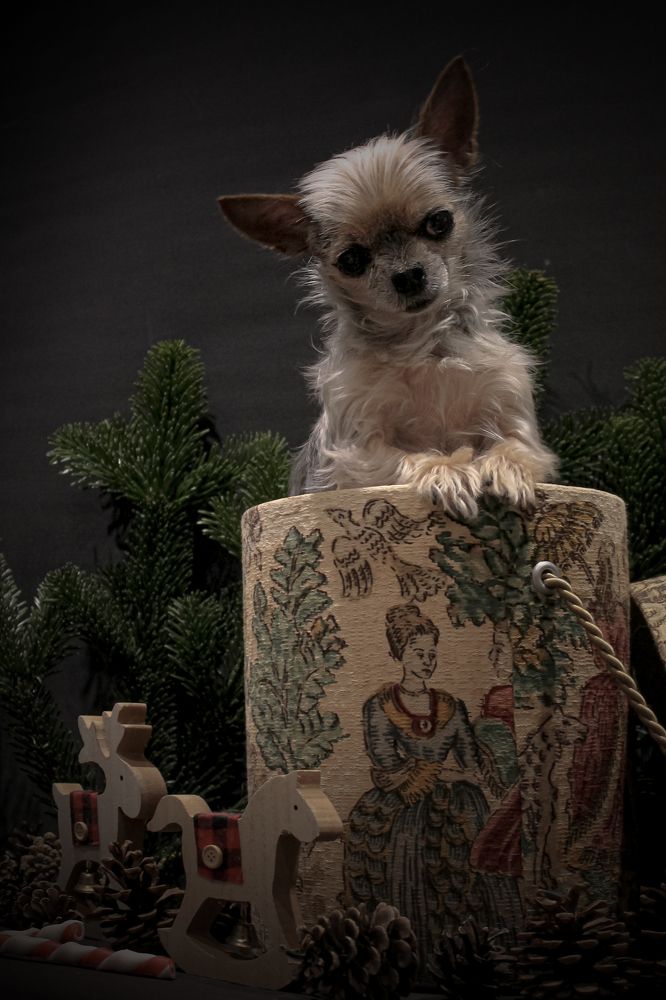 Photograph by Диана Ульянцева