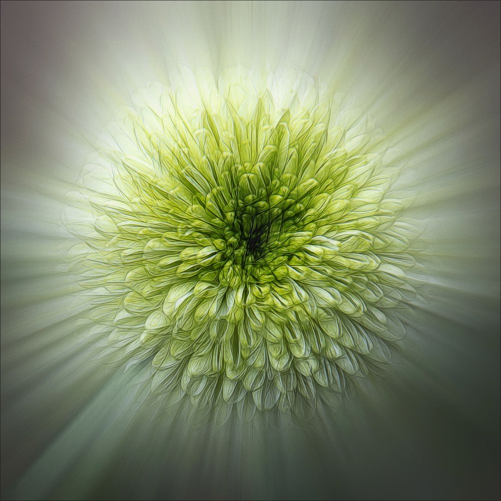 Photograph by Claes Gilbert