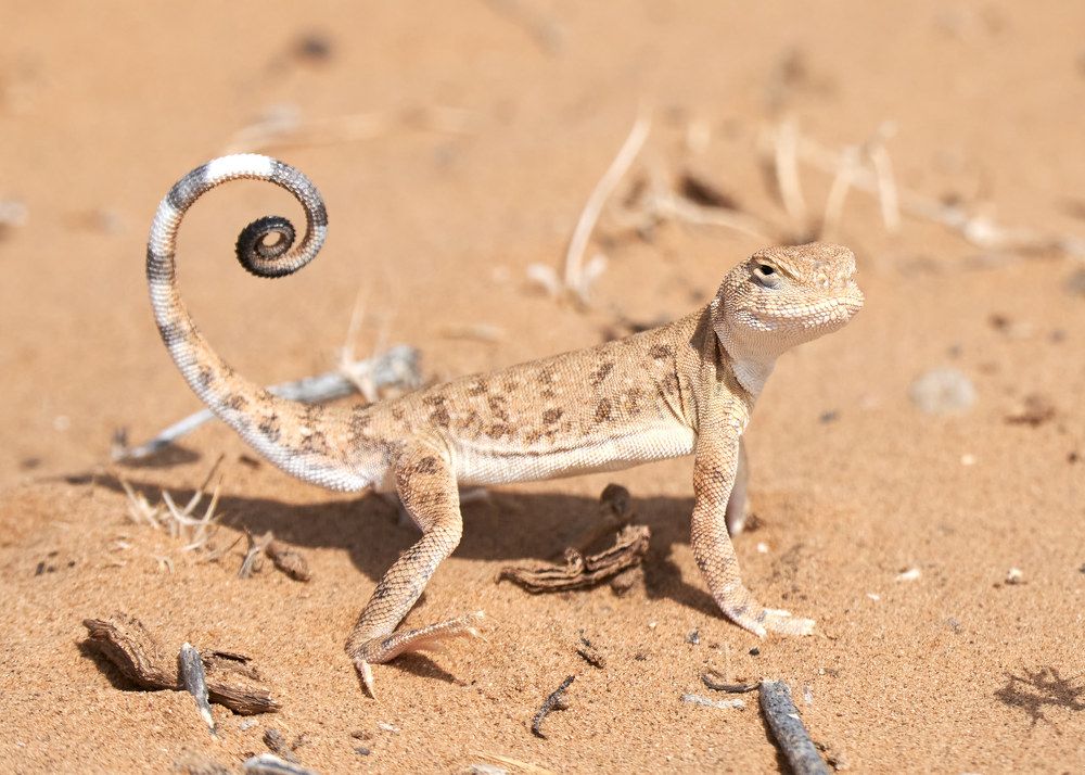 Photograph by Victor Krachkovsky