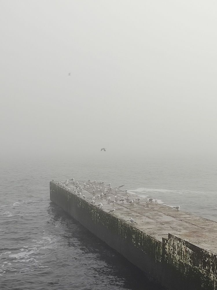 Фотография автора Инга Шевелёва