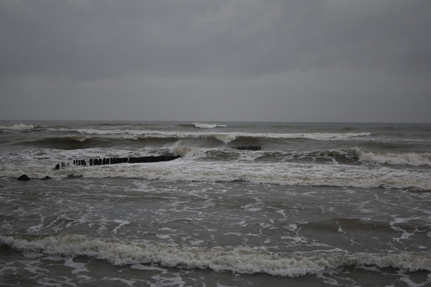 Photo #11665870
