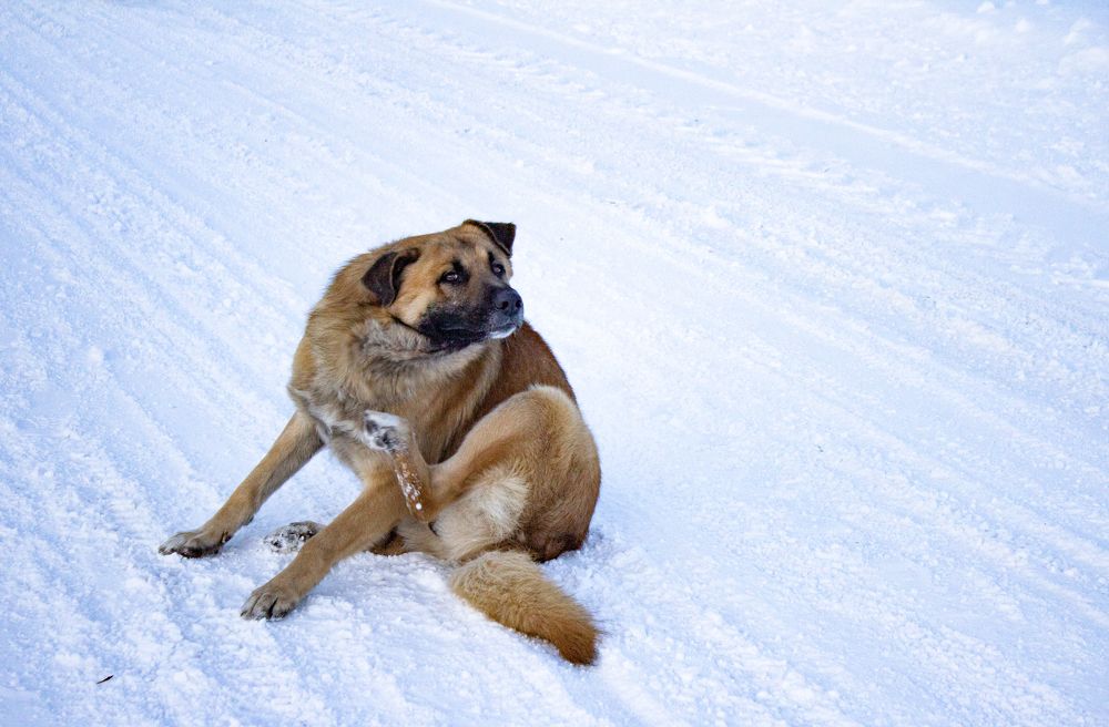 Photograph by Дарья Беляева
