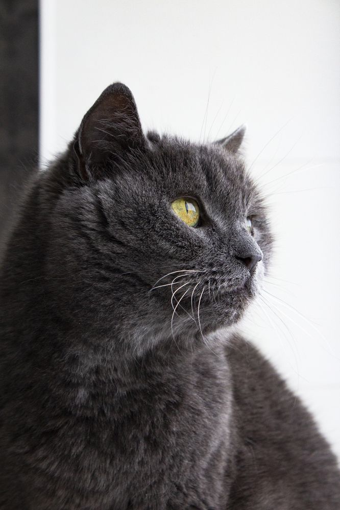 Photograph by Дарья Беляева