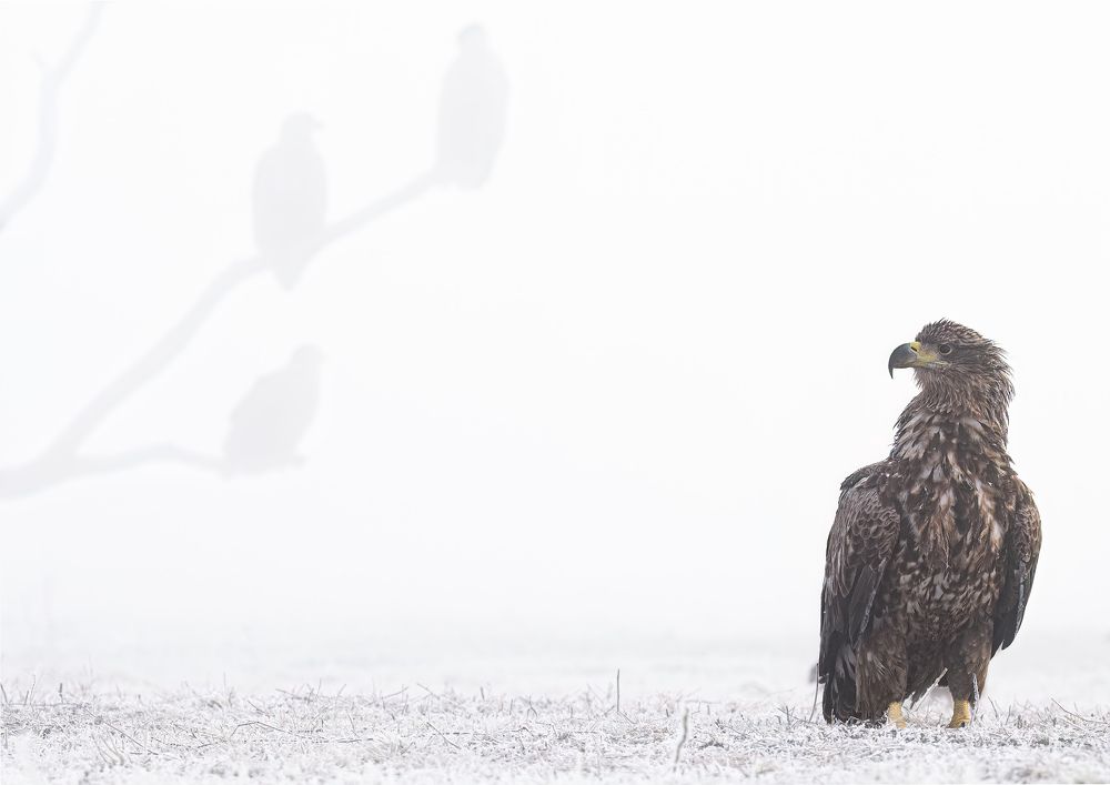 Photograph by Tímea Ambrus