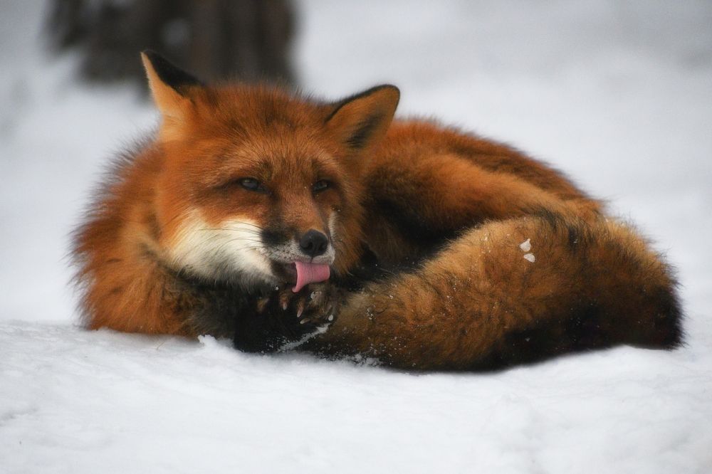 Photograph by Евгений Гецев