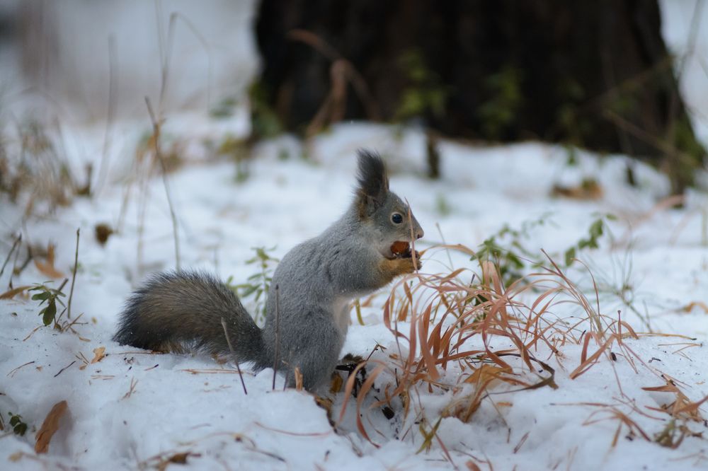 Photograph by Олег Бережных
