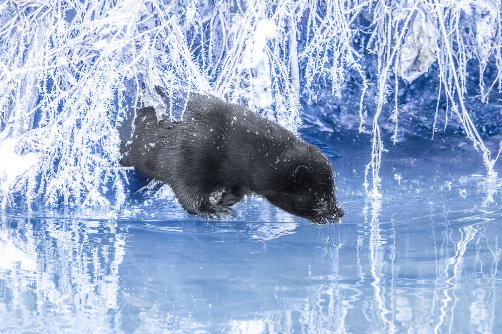 Photograph by Вера Машина