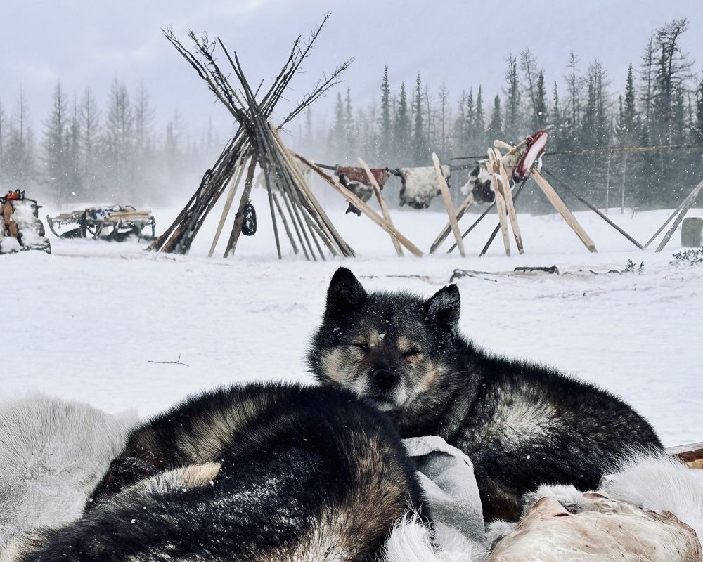 В холод и пургу