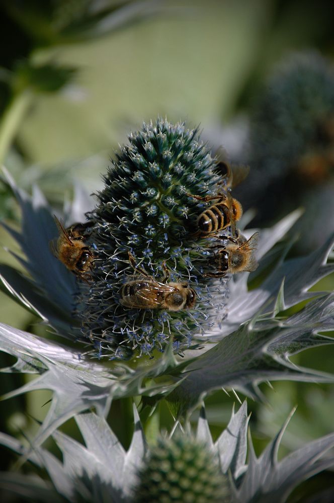 Photograph by Диана Ульянцева