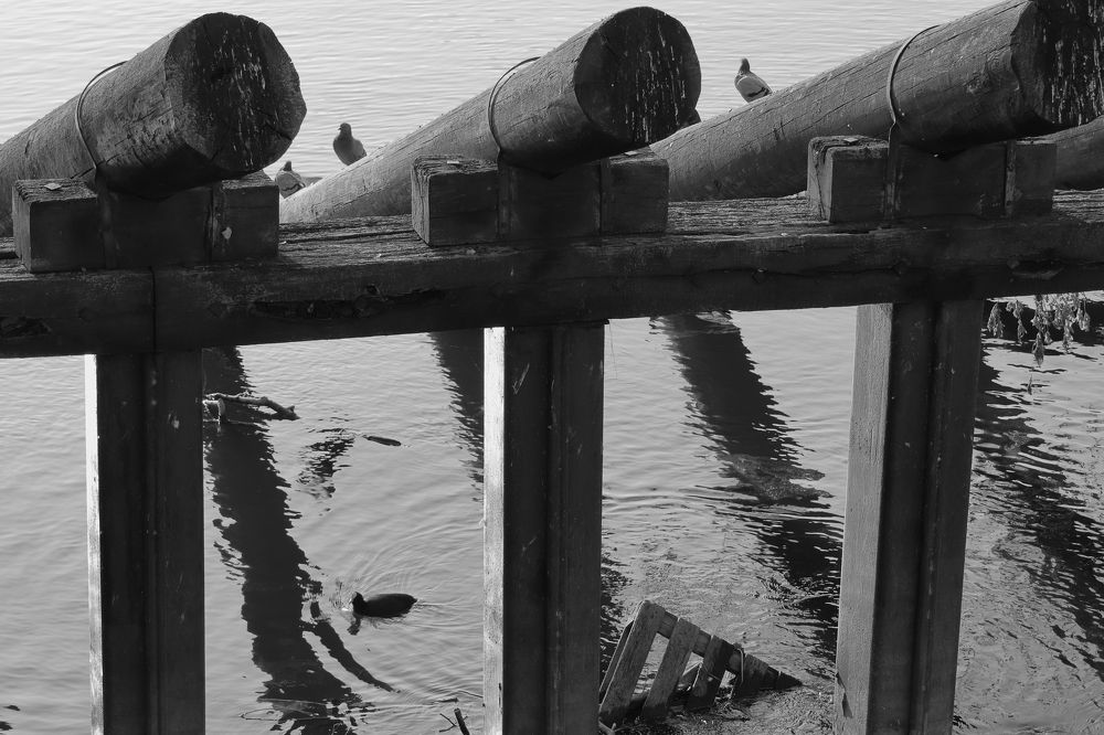 Photograph by Ernest Spiteri Gonzi