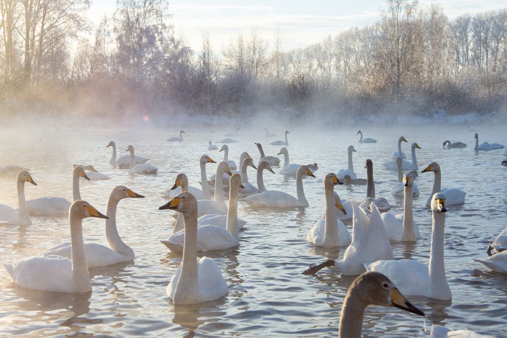 Photograph by Николай Владимирович