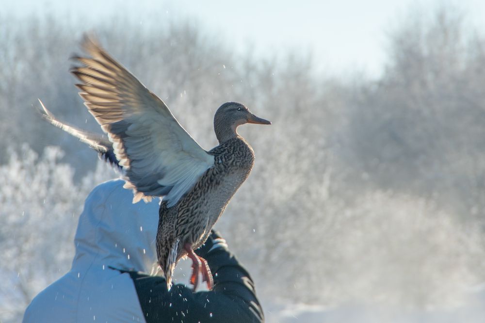 Photograph by Николай Владимирович