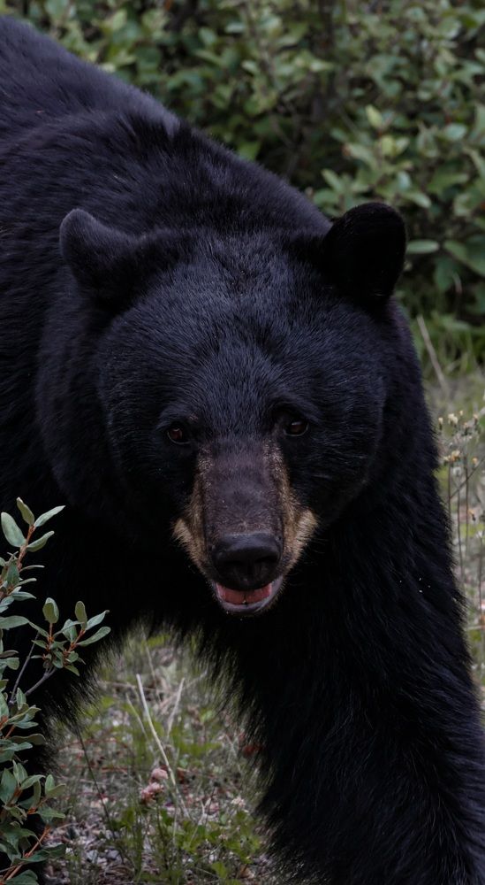 Photograph by Irina Sushkova