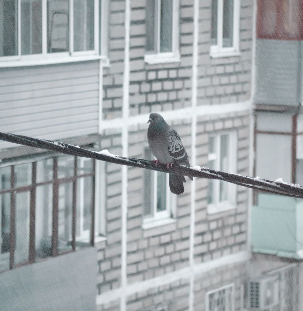 Под напряжением!