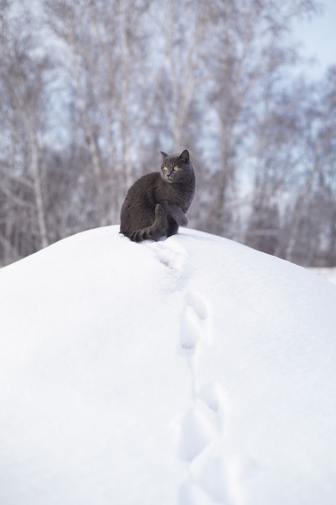 Photograph by Анастасия Позинич