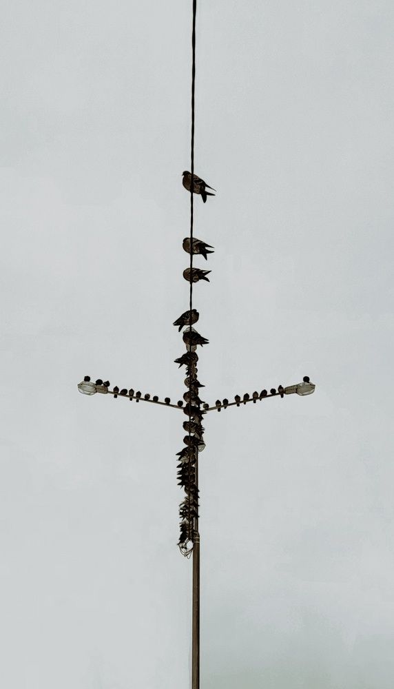 Photograph by Юлия