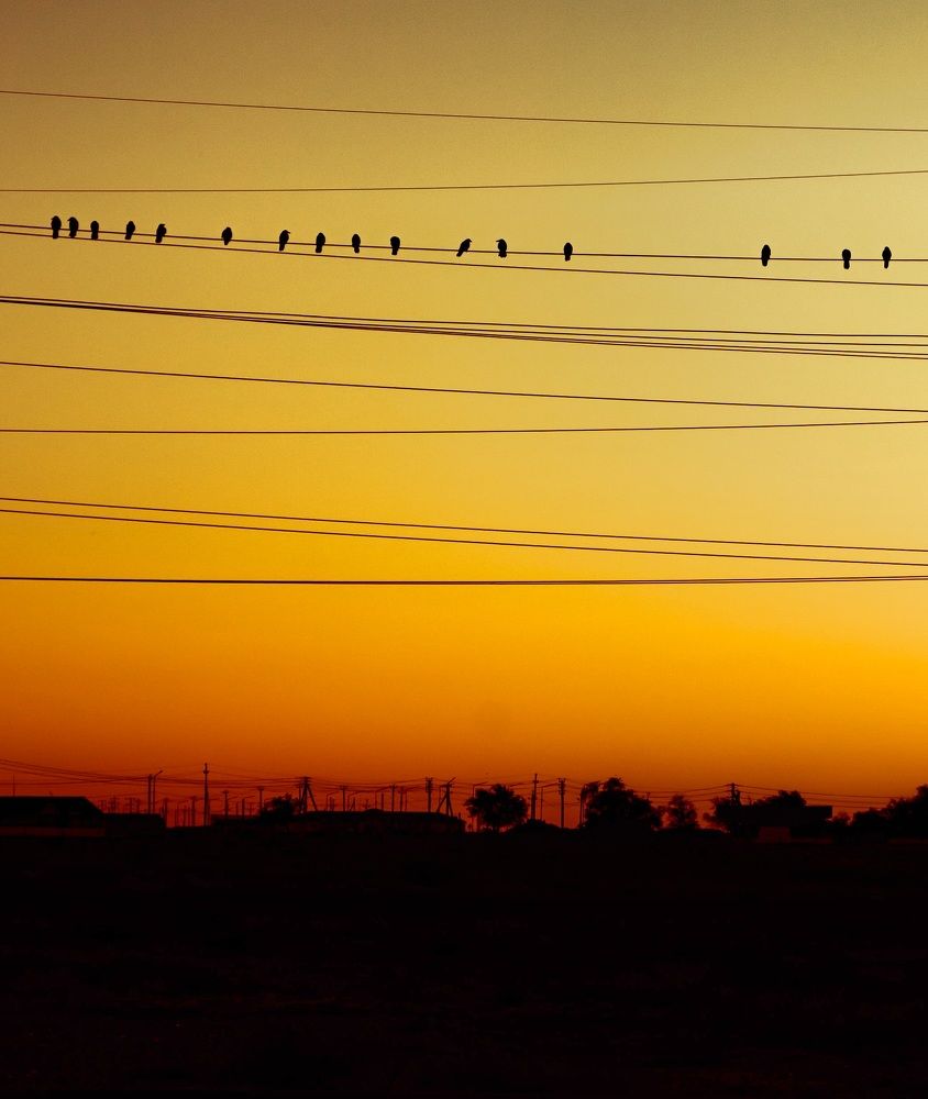 Photograph by Юлия