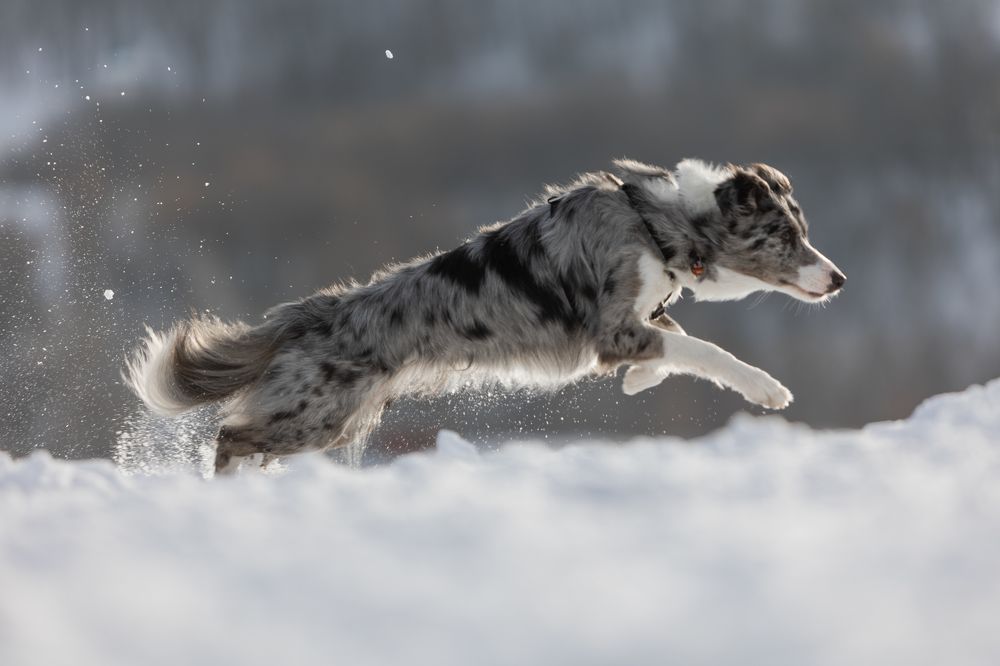 Photograph by Светлана Степашина