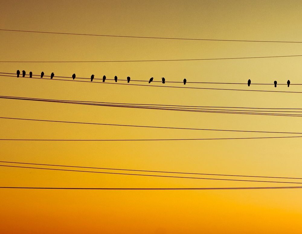 Photograph by Юлия