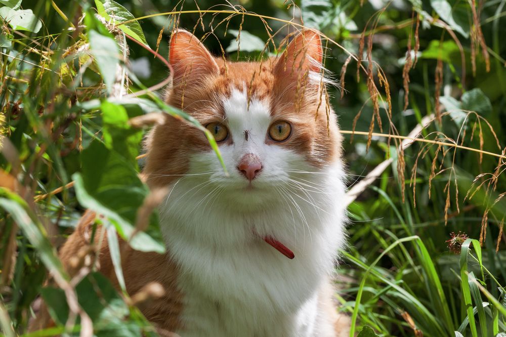 Photograph by Лапенкова Ольга