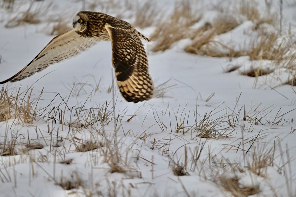 Photograph by Tyler Dewees