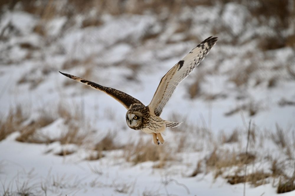 Photograph by Tyler Dewees