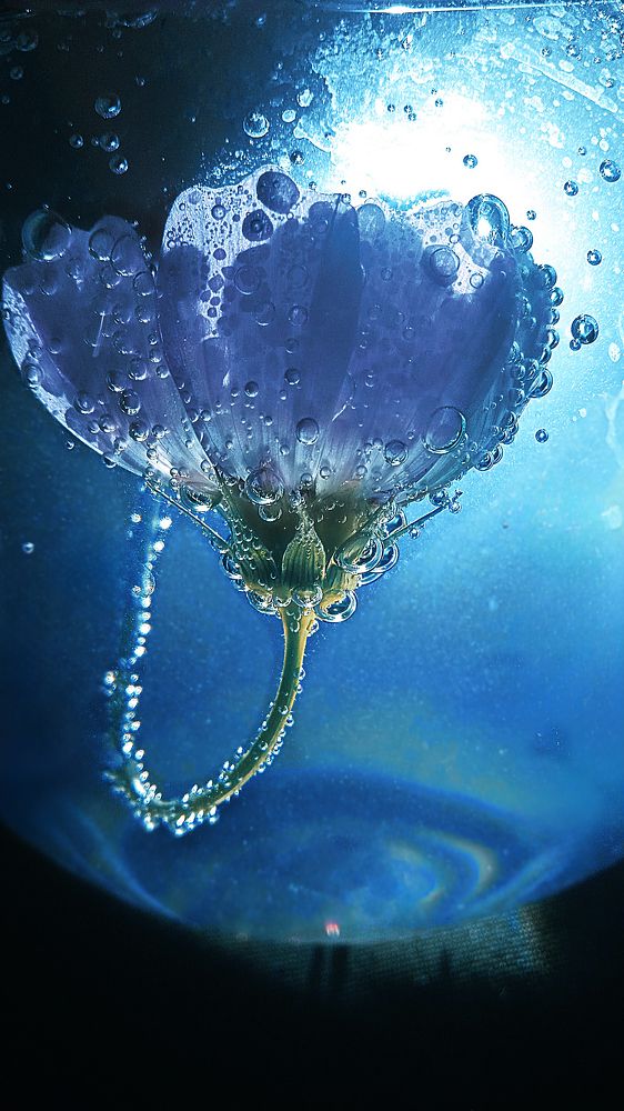 Photograph by Ольга Рыкова