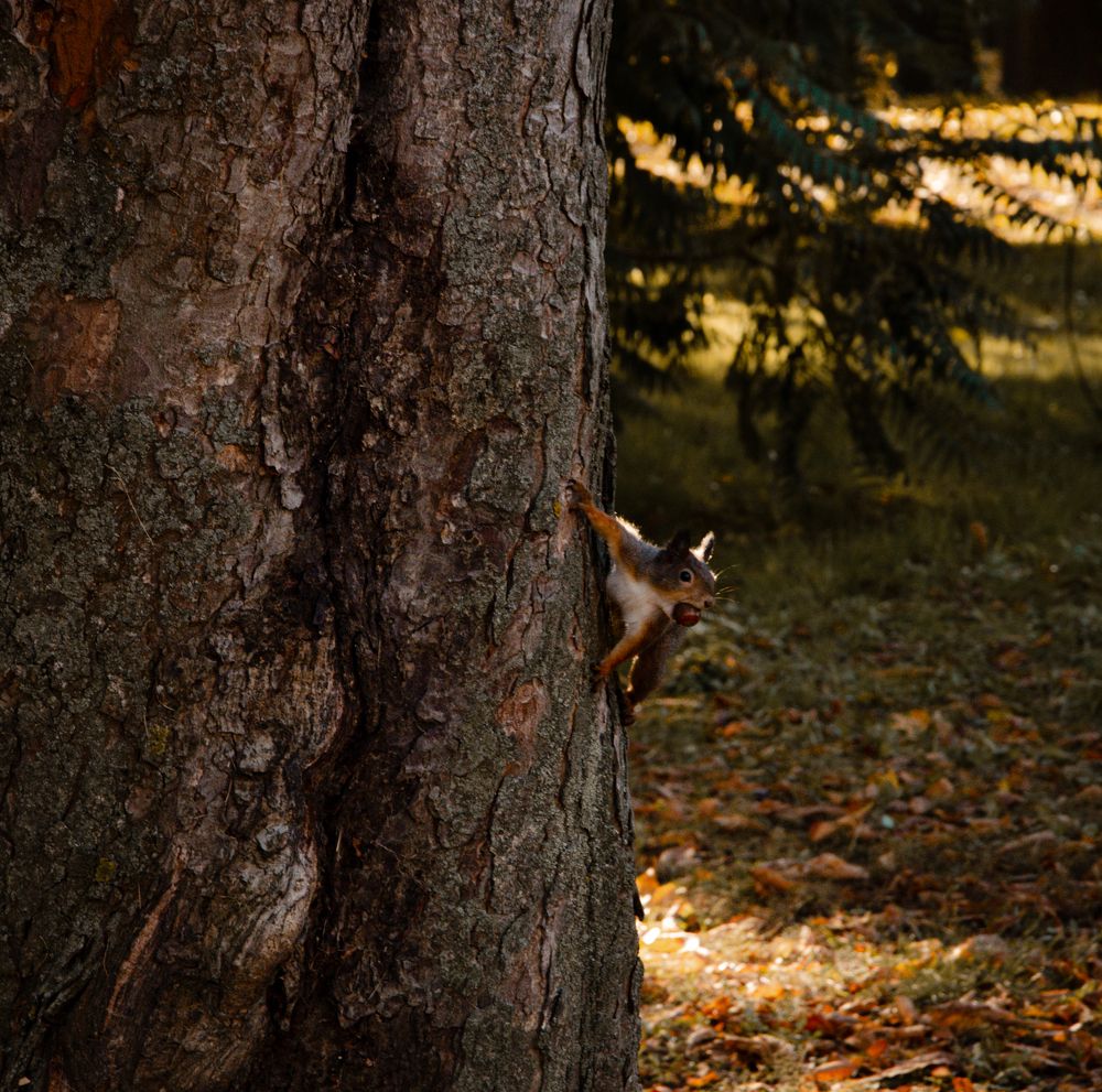 Фотография автора Полина Мавлянова