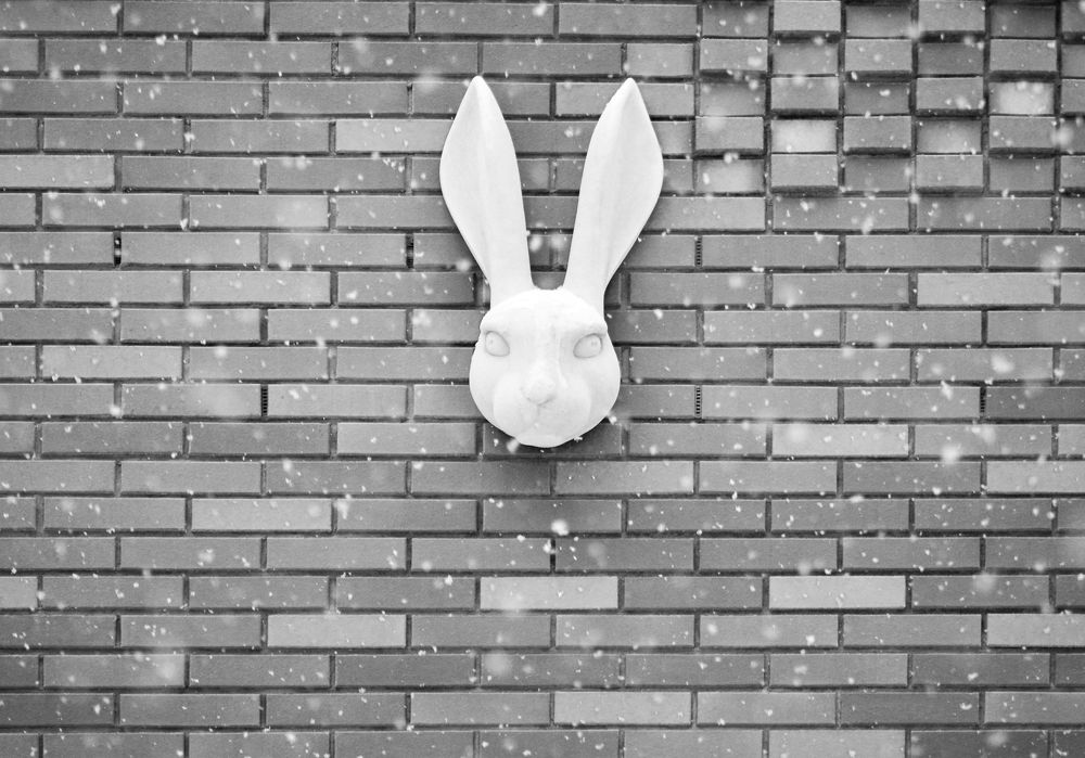 Photograph by Olga Mendosa