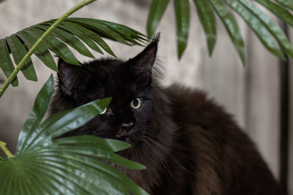 Photograph by Светлана Мнацаканянц