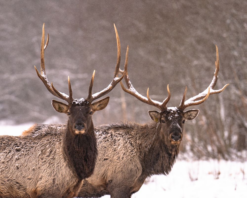 Photograph by Константин Яковлев