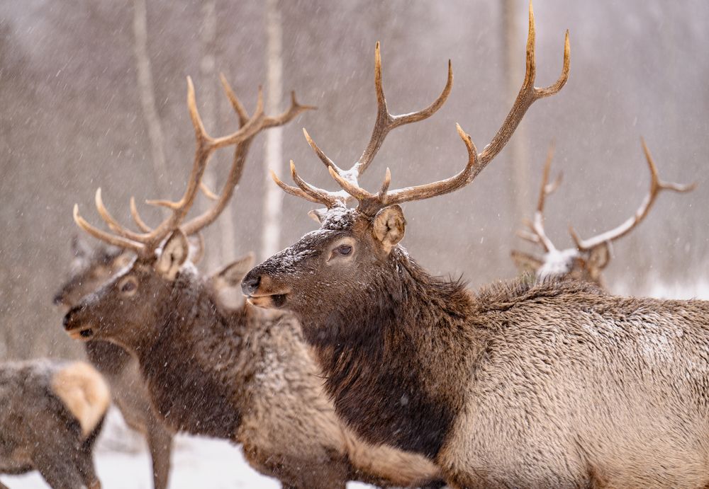 Photograph by Константин Яковлев