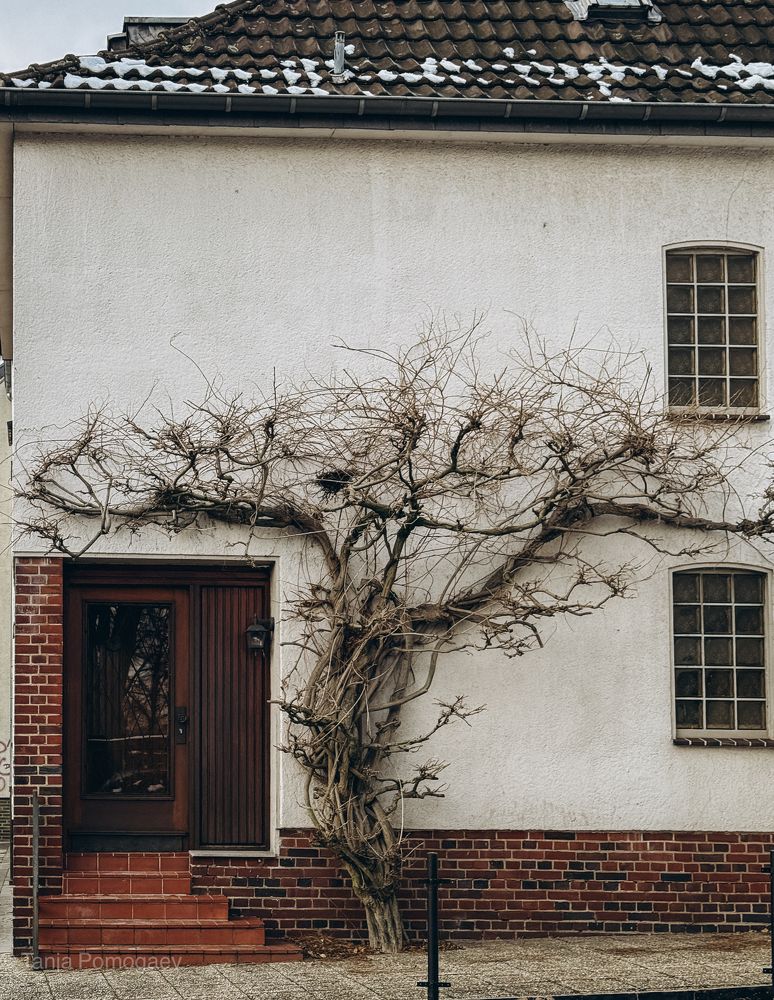 Photograph by Tatyana Pomogaeva