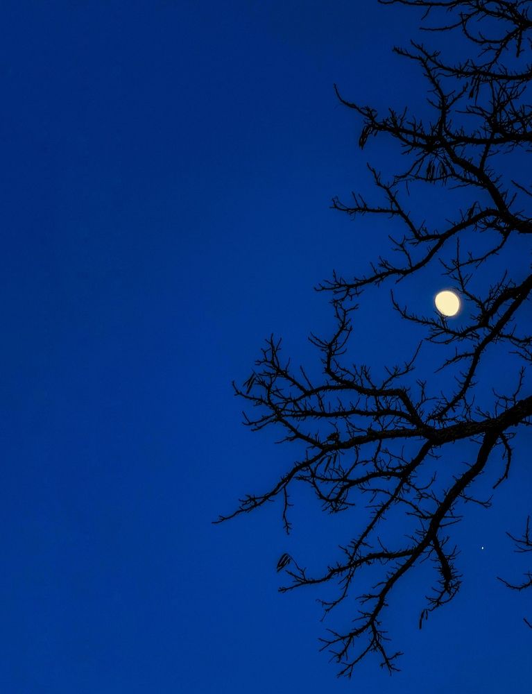 Photograph by Tatyana Pomogaeva