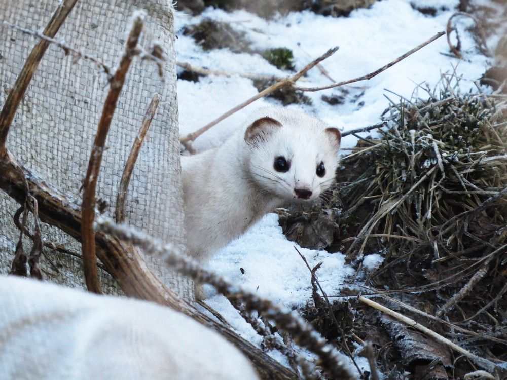 Photograph by Лариса Басова